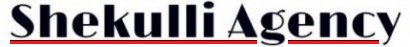 Shekulli Agency